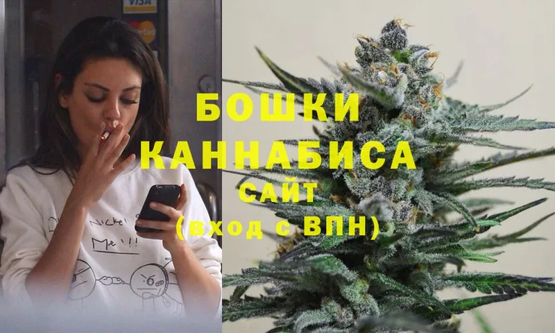 Шишки марихуана Amnesia  Артёмовский 